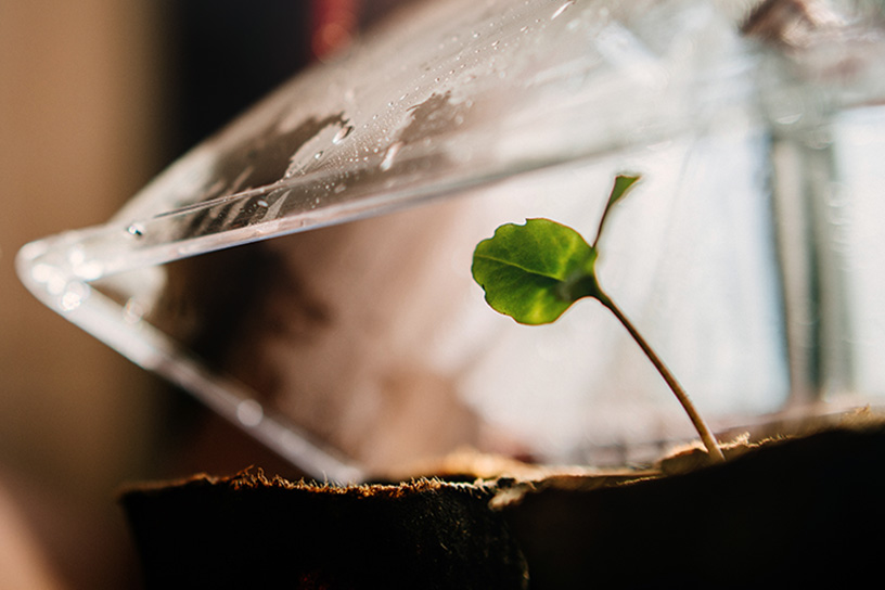 Tips voor voorzaaien